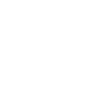 Audit et Commissariat